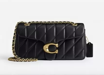 Top Coach Bags to Buy for Autumn